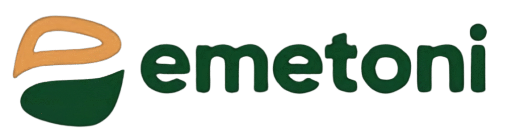 Home | startmit.com 6 e1786203988831 1024x279